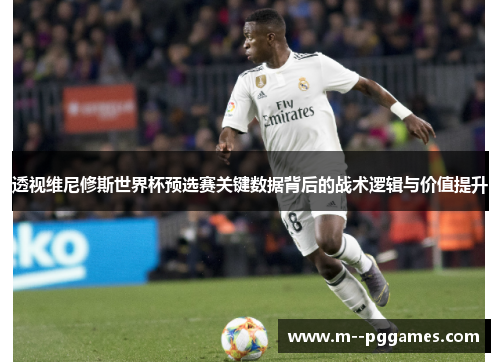 透视维尼修斯世界杯预选赛关键数据背后的战术逻辑与价值提升