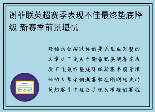谢菲联英超赛季表现不佳最终垫底降级 新赛季前景堪忧